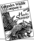 Colorado�s Wildlife Company