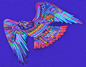 Rainbow Hawk